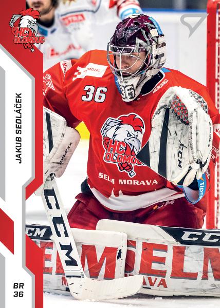 Sedláček Jakub 22-23 Tipsport Extraliga #321