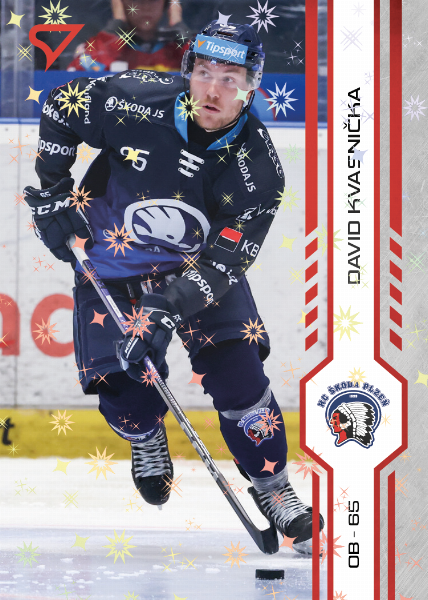 Kvasnička David 24-25 Tipsport Extraliga Red #202