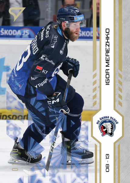 Merezhko Igor 24-25 Tipsport Extraliga Gold #204