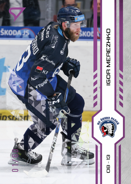 Merezhko Igor 24-25 Tipsport Extraliga Purple #204