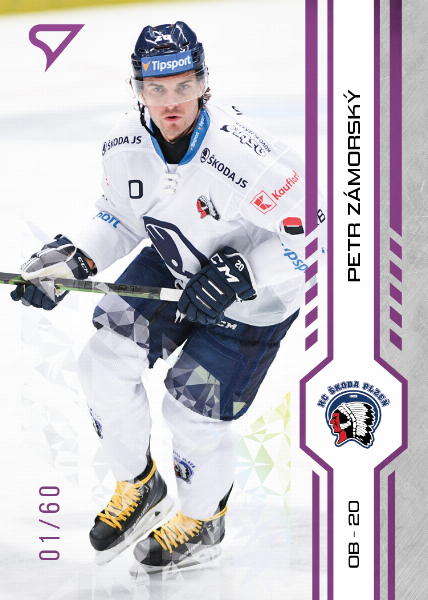 Zámorský Petr 24-25 Tipsport Extraliga Purple #207