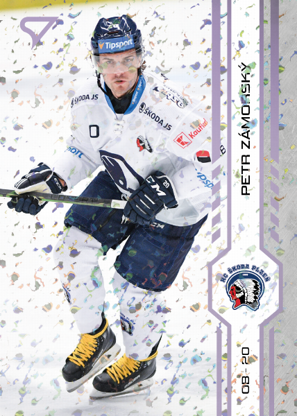 Zámorský Petr 24-25 Tipsport Extraliga Violet #207
