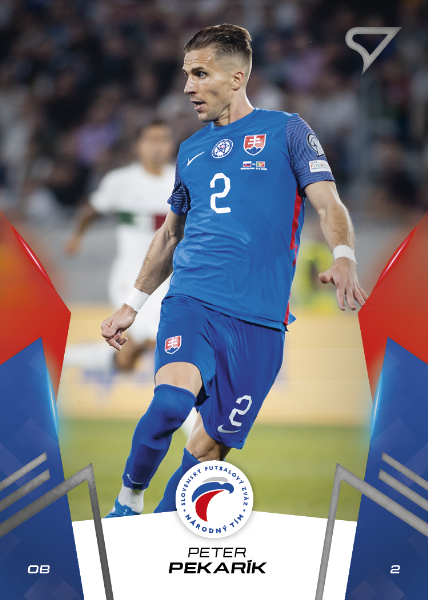 Pekarík Peter 2024 Slovenskí Sokoli #9