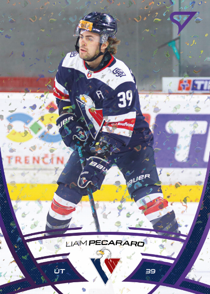 Pecararo Liam 24-25 Tipos Extraliga Purple #104