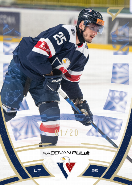 Puliš Radovan 24-25 Tipos Extraliga Gold #106