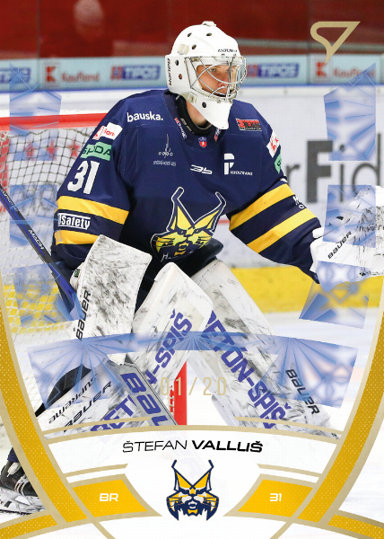 Valluš Štefan 24-25 Tipos Extraliga Gold #20