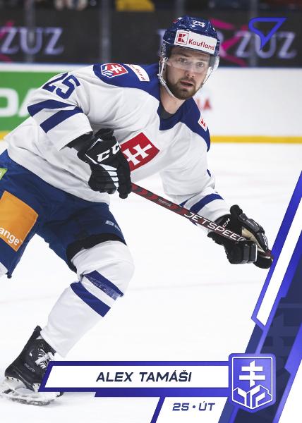 Tamáši Alex 2023 Hokejové Slovensko Blue #44