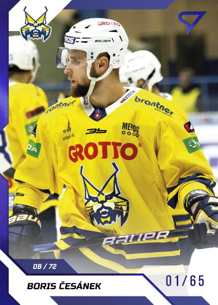 Česánek Boris 22-23 Tipos Extraliga Blue #295