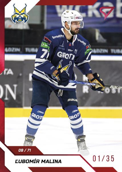 Malina Ľubomír 22-23 Tipos Extraliga Red #296