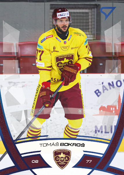 Bokroš Tomáš 24-25 Tipos Extraliga Blue #147