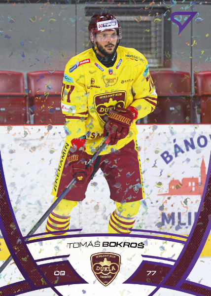 Bokroš Tomáš 24-25 Tipos Extraliga Purple #147