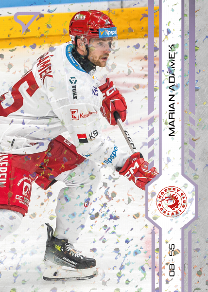 Adámek Marian 24-25 Tipsport Extraliga Violet #3