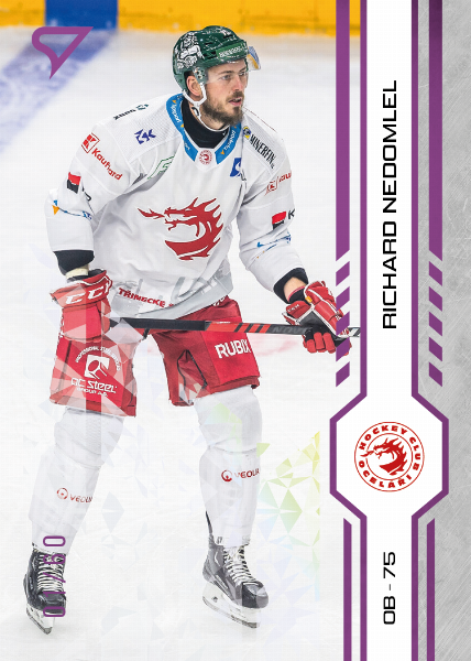 Nedomlel Richard 24-25 Tipsport Extraliga Purple #7