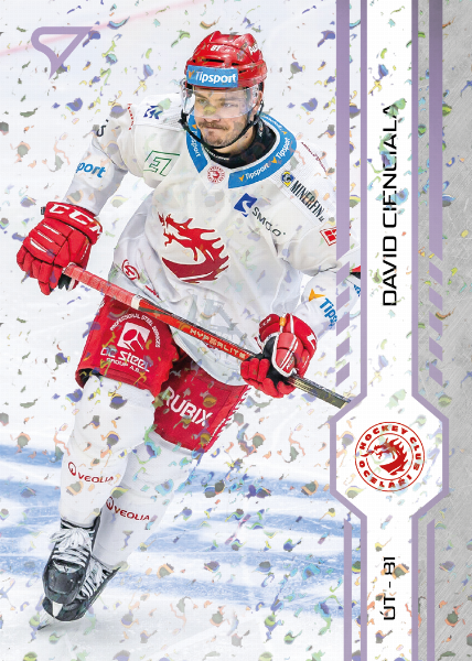 Cienciala David 24-25 Tipsport Extraliga Violet #10