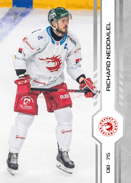 Nedomlel Richard 24-25 Tipsport Extraliga #7