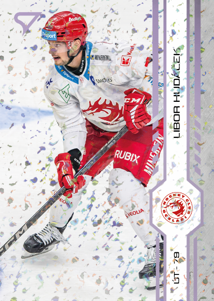 Hudáček Libor 24-25 Tipsport Extraliga Violet #15