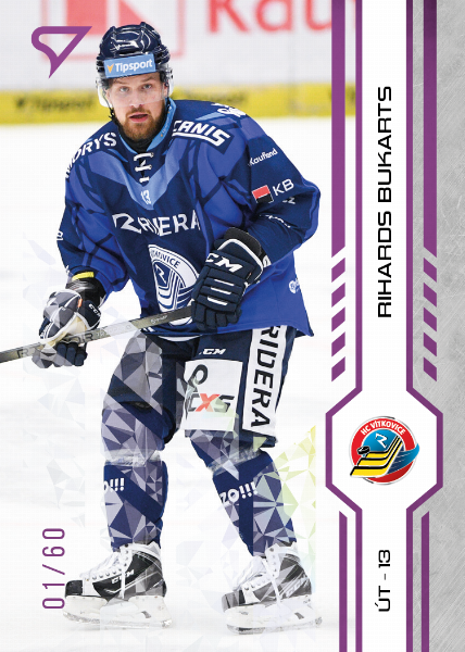 Bukarts Rihards 24-25 Tipsport Extraliga Purple #156