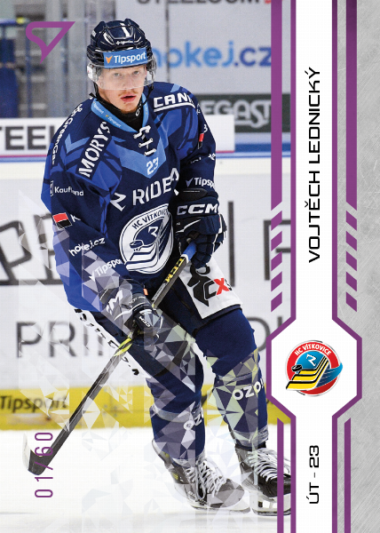 Lednický Vojtěch 24-25 Tipsport Extraliga Purple #160