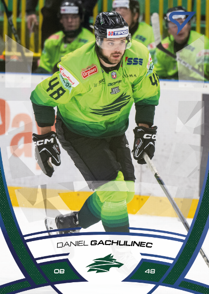 Gachulinec Daniel 24-25 Tipos Extraliga Blue #202
