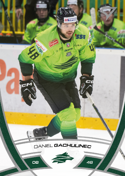 Gachulinec Daniel 24-25 Tipos Extraliga #202
