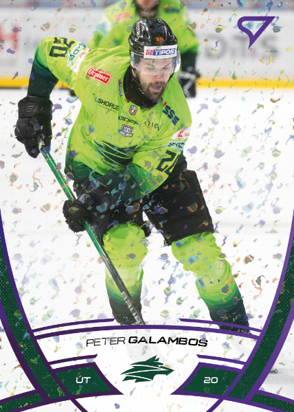 Galamboš Peter 24-25 Tipos Extraliga Purple #208