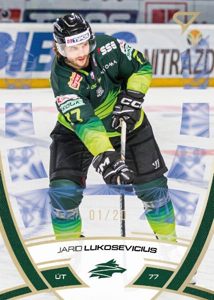 Lukosevicius Jarid 24-25 Tipos Extraliga Gold #212