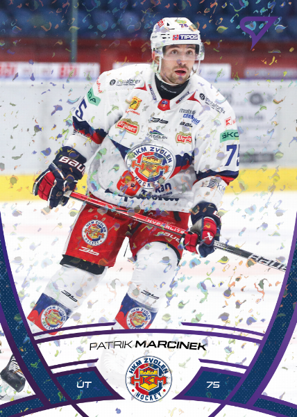 Marcinek Patrik 24-25 Tipos Extraliga Purple #141
