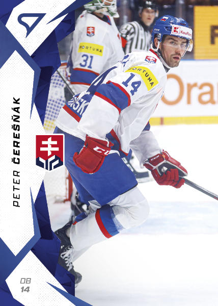 Čerešňák Peter 2025 Hokejové Slovensko Blue #9