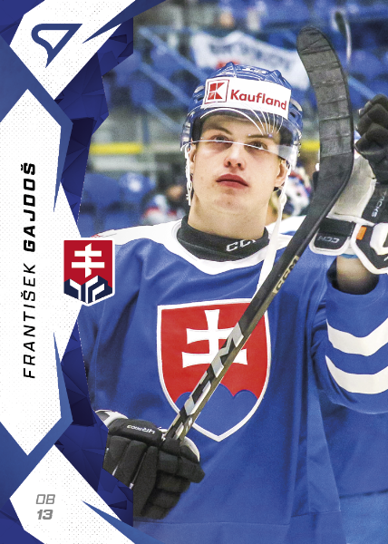 Gajdoš František 2025 Hokejové Slovensko Blue #11