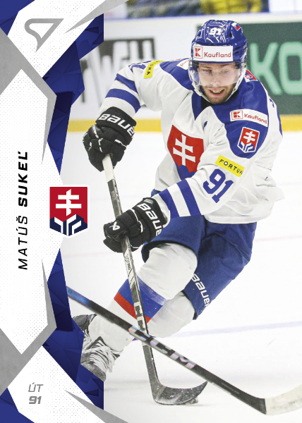 Sukeľ Matúš 2025 Hokejové Slovensko #58