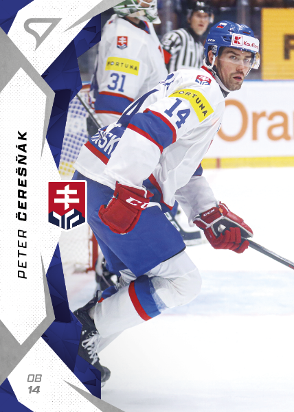 Čerešňák Peter 2025 Hokejové Slovensko #9