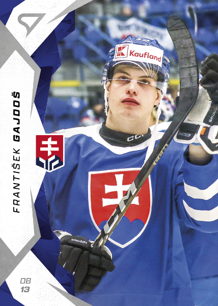 Gajdoš František 2025 Hokejové Slovensko #11