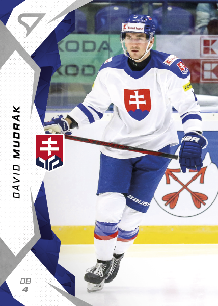 Mudrák Dávid 2025 Hokejové Slovensko #19