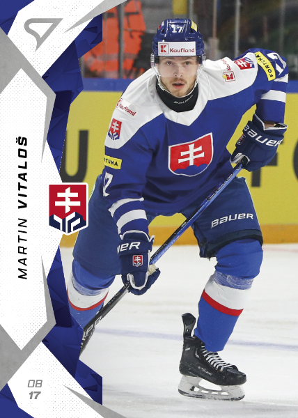 Vitaloš Martin 2025 Hokejové Slovensko #25
