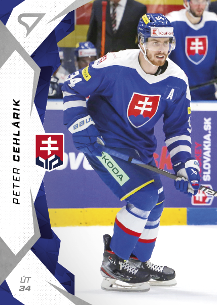 Cehlárik Peter 2025 Hokejové Slovensko #28