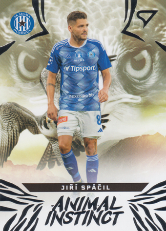 Spáčil Jiří 24-25 Chance Liga Animal Instinct #AI-22