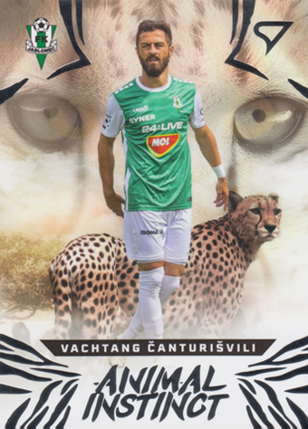 Tchanturishvili Vakhtang 24-25 Chance Liga Animal Instinct #AI-24