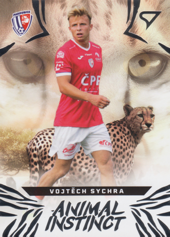Sychra Vojtěch 24-25 Chance Liga Animal Instinct #AI-27
