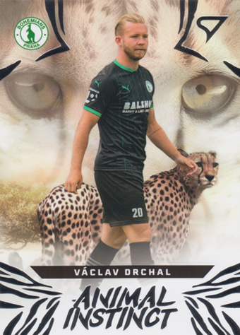 Drchal Václav 24-25 Chance Liga Animal Instinct #AI-30
