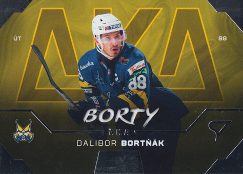Bortňák Dalibor 24-25 Tipos Extraliga AKA #AK-04