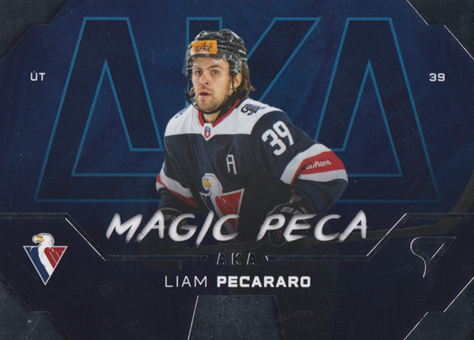 Pecararo Liam 24-25 Tipos Extraliga AKA #AK-14