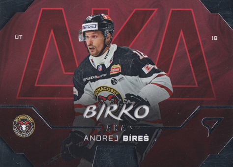 Bíreš Andrej 24-25 Tipos Extraliga AKA #AK-17