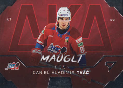 Tkáč Daniel Vladimír 24-25 Tipos Extraliga AKA #AK-22