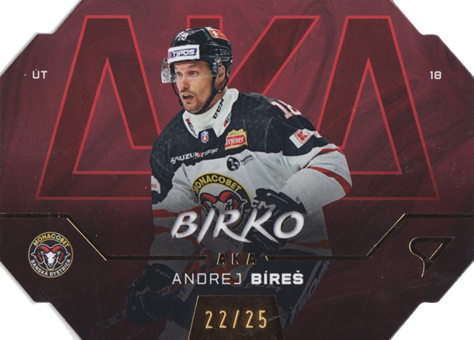 Bíreš Andrej 24-25 Tipos Extraliga AKA Limited #AK-17