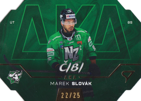Slovák Marek 24-25 Tipos Extraliga AKA Limited #AK-25