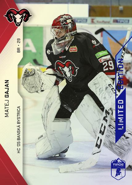 Gajan Matej 21-22 Tipos Extraliga Blue #164