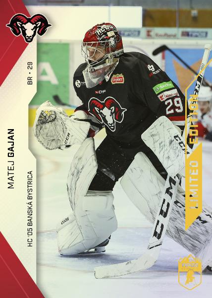 Gajan Matej 21-22 Tipos Extraliga Gold #164