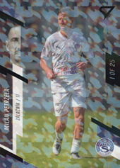 Petržela Milan 23-24 Fortuna Liga Black #61