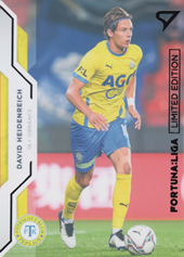 Heidenreich David 20-21 Fortuna Liga Limited Gold #146