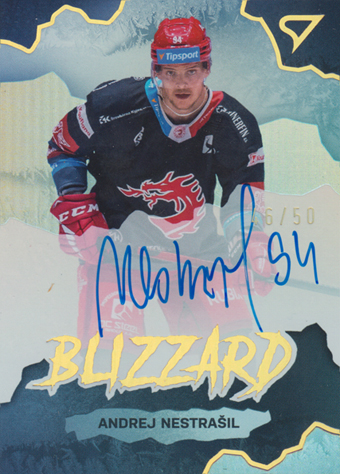 Nestrašil Andrej 22-23 Tipsport Extraliga Blizzard Auto #BLS-AN